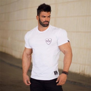 Camiseta Masculina de Manga Curta Esportiva Impressa Com Alta Qualidade Estampada Tops Fitness Bevelie